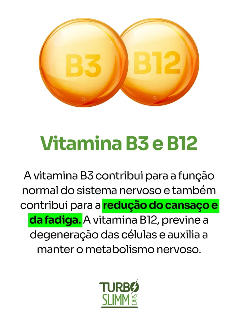 Vitamina-B12-e-B3.webp